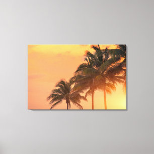Miami Palms Canvas Print