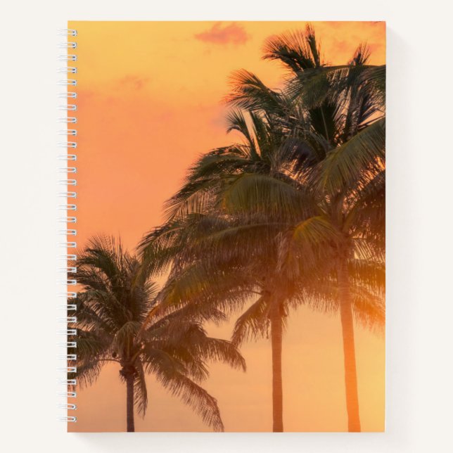 Miami Palms Notebook (Front)