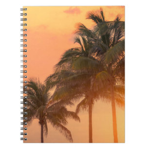 Miami Palms Notebook