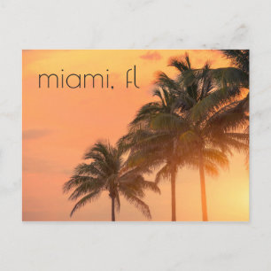 Miami Palms Postcard