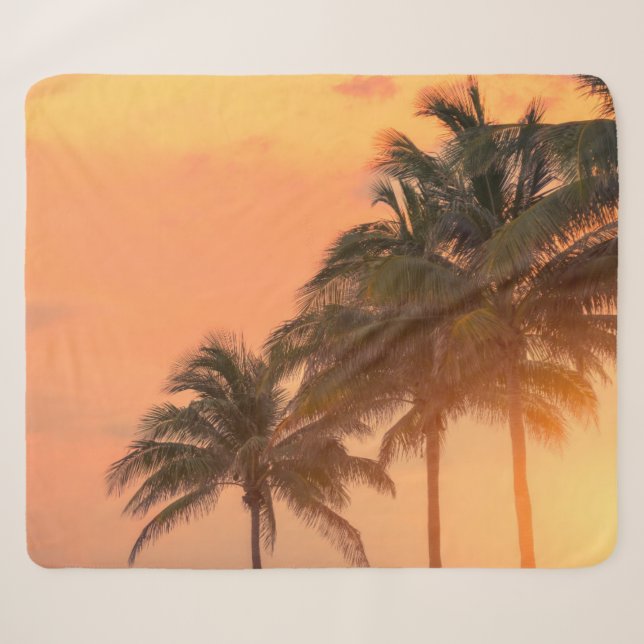 Miami Palms Sherpa Blanket (Front (Horizontal))