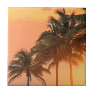 Miami Palms Tile