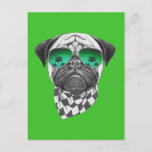 Miami Pug Postcard