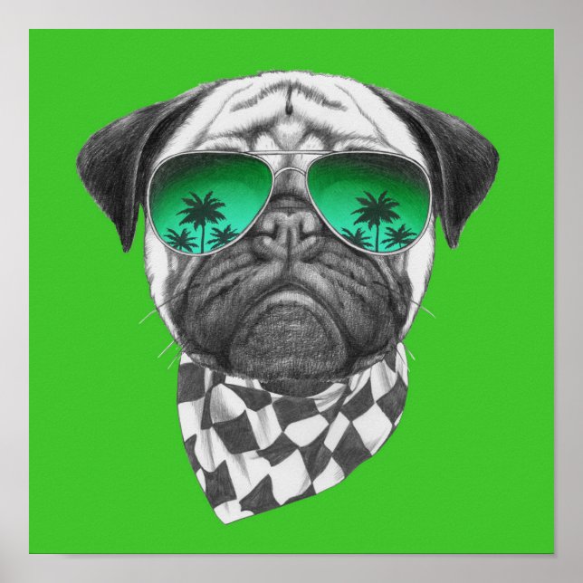 Miami Pug Poster (Front)