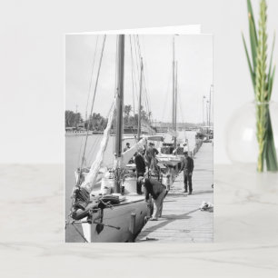 Miami Sailboats, 1905 Card