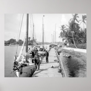 Miami Sailboats, 1905 Poster