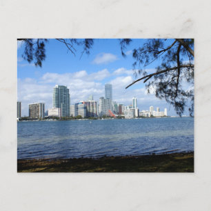 Miami Skyline Postcard