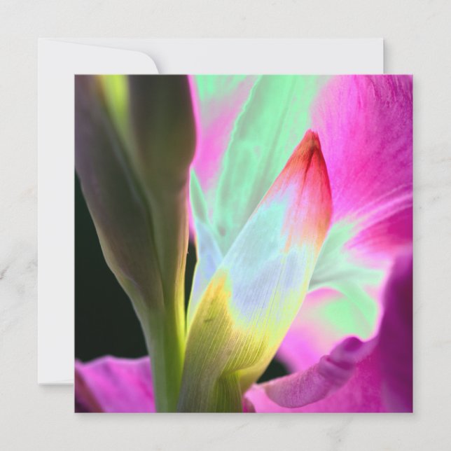 Miami Style Floral Blank Card (Front)