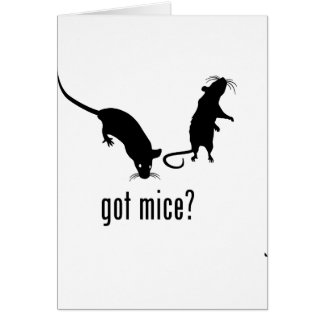 Mice
