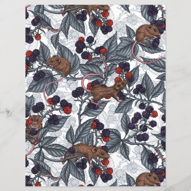 Mice and blackberries on white (Front)