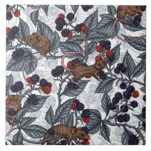Mice and blackberries on white tile