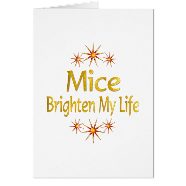 Mice Brighten My Life (Front)