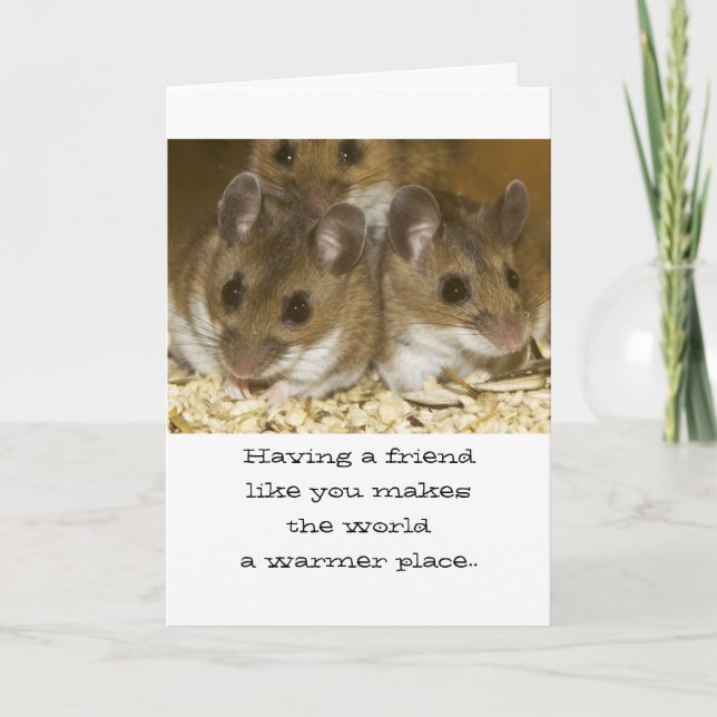 Mice Friends Birthday Card (Front)