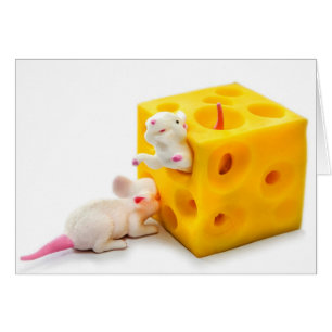 Mice on Cheese Funny Toys Card