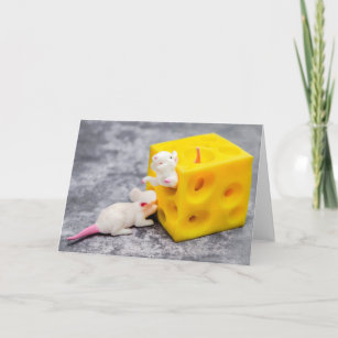 Mice on Cheese Funny Toys Greeting Card