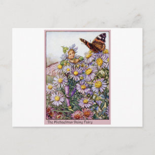 Michaelmas Daisy Fairy Postcard