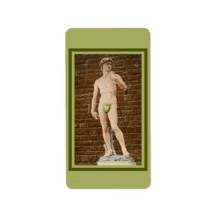 MICHELANGELO DAVID WITH FIG LEAF LABEL