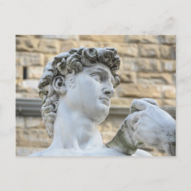 Michelangelo's David, Florence Italy Postcard (Front)