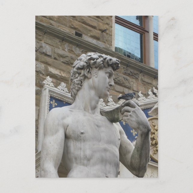 Michelangelo's David, Florence Italy Postcard (Front)