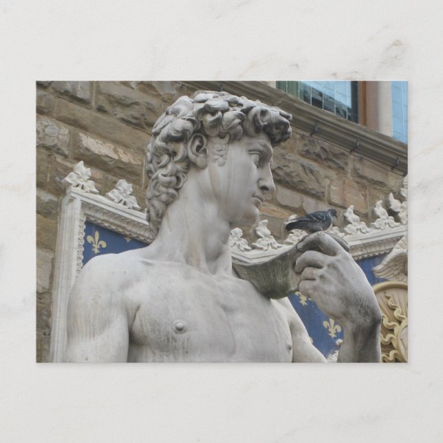 Michelangelo's David, Florence Italy Postcard (Front)