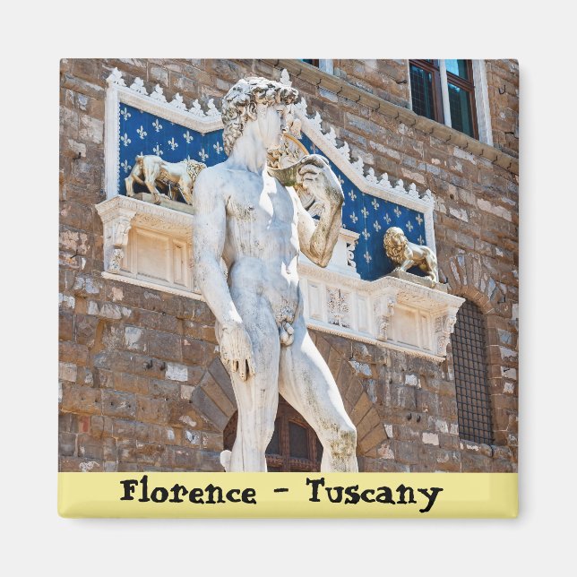 Michelangelo's David - Florence, Tuscany, Italy Magnet (Front)