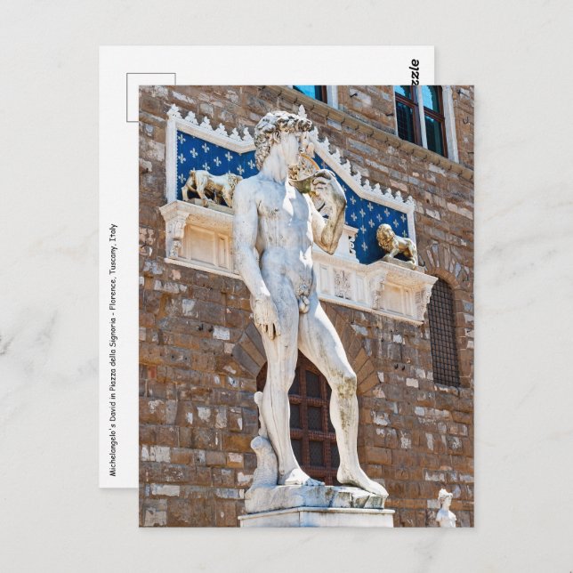 Michelangelo's David - Florence, Tuscany, Italy Postcard (Front/Back)