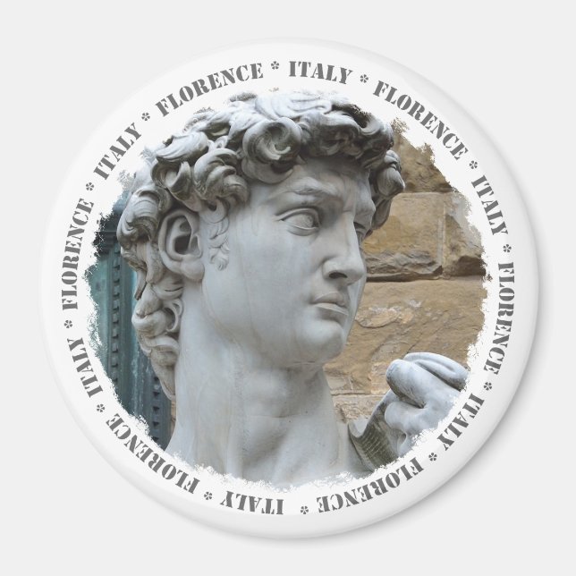 Michelangelo's David Magnet (Front)