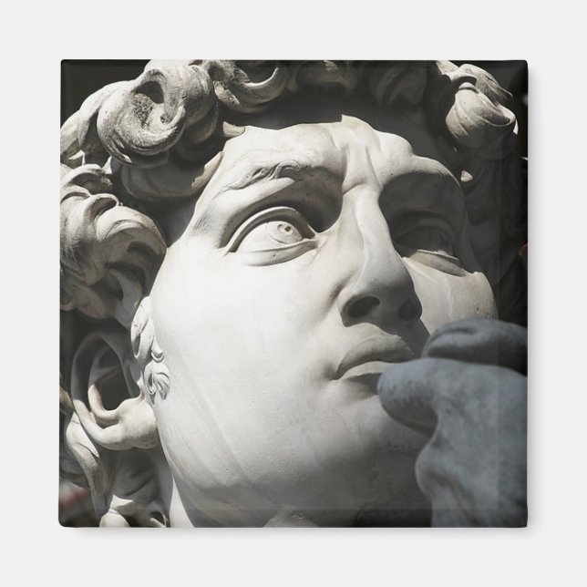 Michelangelo's David Magnet (Front)