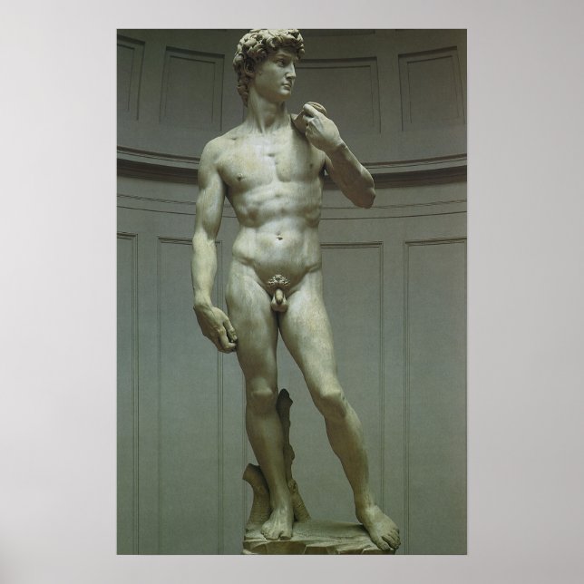 Michelangelo's Statue of David Poster (Front)