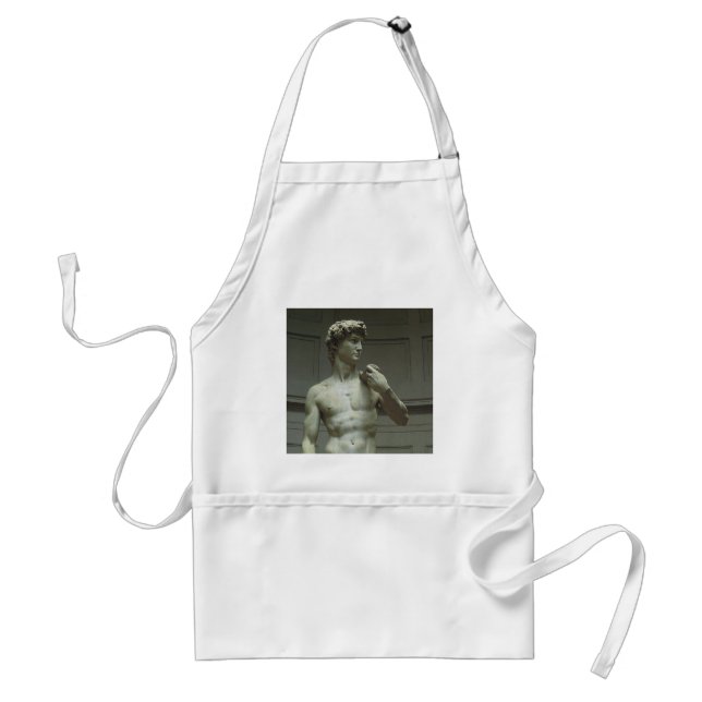 Michelangelo's Statue of David Standard Apron (Front)
