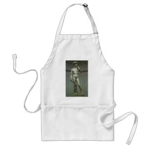 Michelangelo's Statue of David Standard Apron