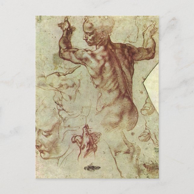 Michelangelo's Study of a Libyan Sibyl Postcard (Front)