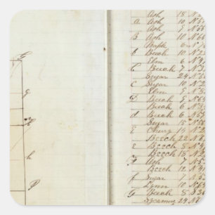 Michigan and Indiana Survey 3 Square Sticker