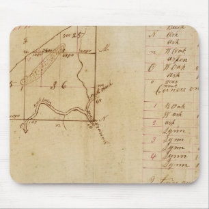 Michigan and Indiana Survey Mouse Mat