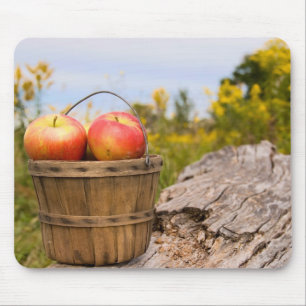 Michigan Apples Mouse Mat