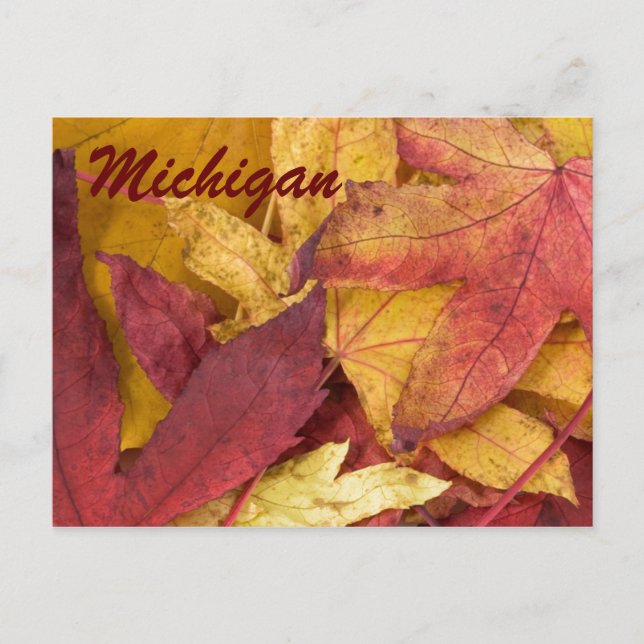 Michigan Autumn Leaves Postcard (Front)