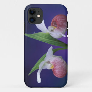 Michigan, Bruce Peninsula National Park. Showy iPhone 11 Case