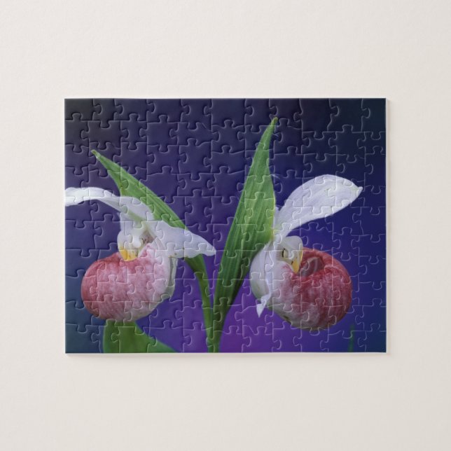 Michigan, Bruce Peninsula National Park. Showy Jigsaw Puzzle (Horizontal)