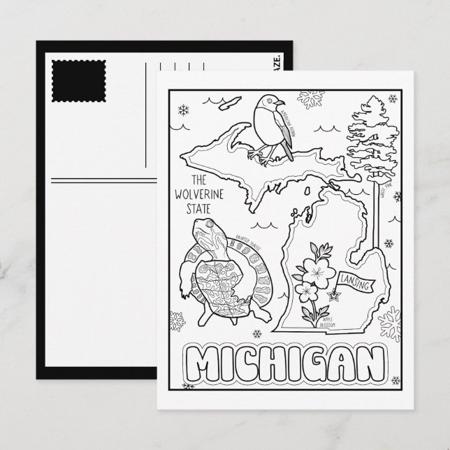michigan colour me collage postcard (Front/Back)