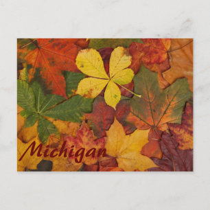 Michigan Colourful Autumn Leaves Postcard