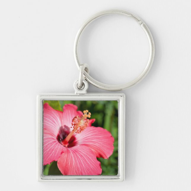 Michigan, Dearborn. Detail Of Pink Hibiscus Key Ring (Front)