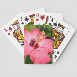 Michigan, Dearborn. Detail Of Pink Hibiscus Playing Cards