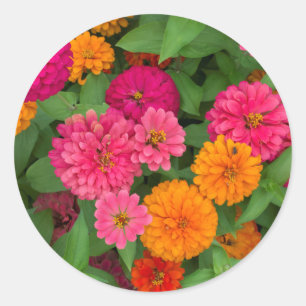 Michigan, Dearborn, Greenfield Village. Close up Classic Round Sticker