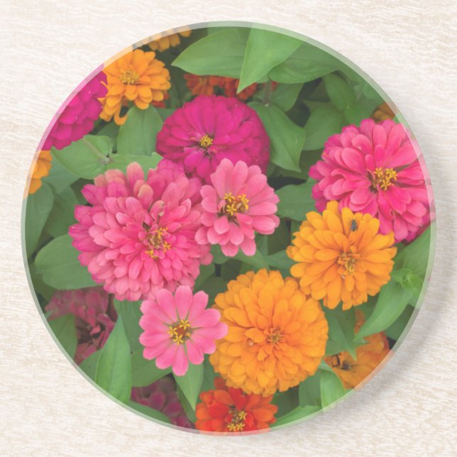 Michigan, Dearborn, Greenfield Village. Close up Coaster (Front)