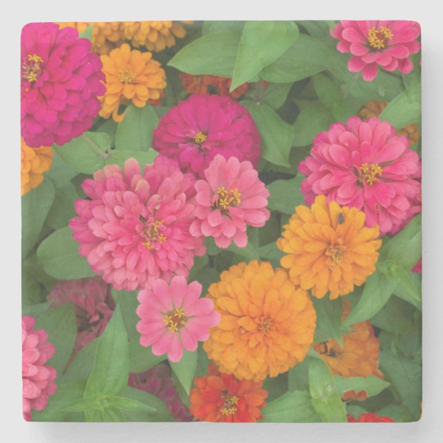 Michigan, Dearborn, Greenfield Village. Close up Stone Coaster (Front)