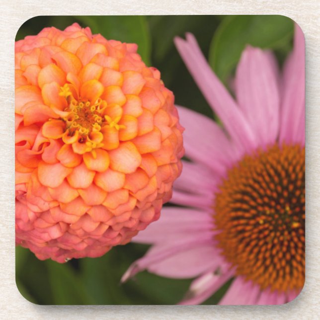 Michigan, Dearborn, Greenfield Village. Peach Coaster (Front)