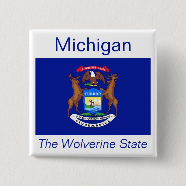 Michigan Flag Button (Front)