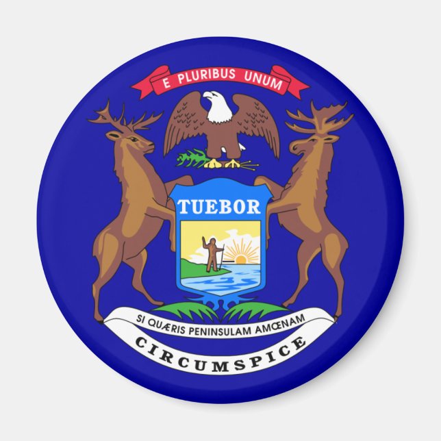 Michigan Flag Magnet (Front)