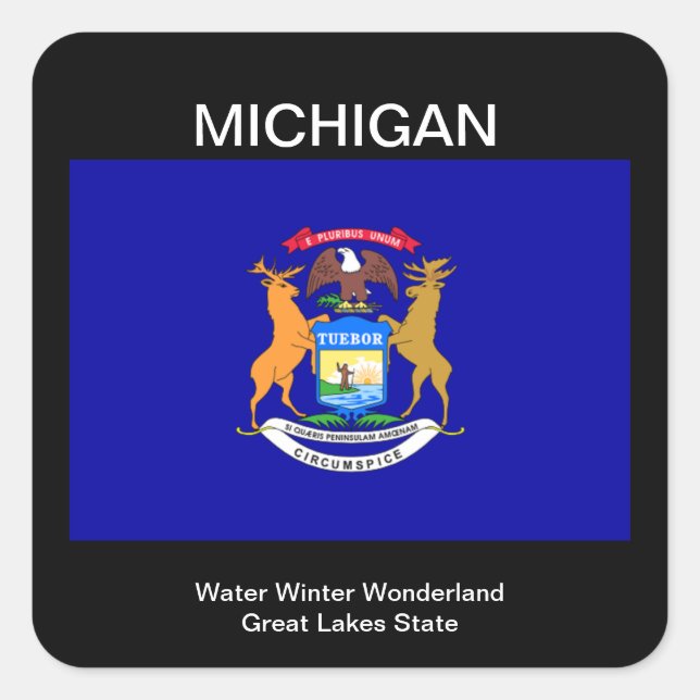 Michigan Flag  Square Sticker (Front)