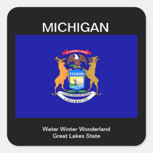 Michigan Flag  Square Sticker